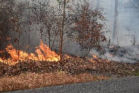 Firefighters Battle Wildfire In Greenwood Lake New York Following Death Of New York State Parks Employee Fighting Fire