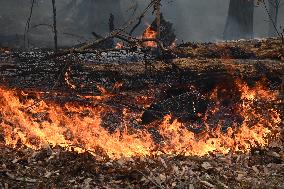 Firefighters Battle Wildfire In Greenwood Lake New York Following Death Of New York State Parks Employee Fighting Fire