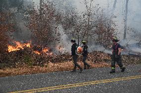 Firefighters Battle Wildfire In Greenwood Lake New York Following Death Of New York State Parks Employee Fighting Fire