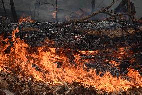 Firefighters Battle Wildfire In Greenwood Lake New York Following Death Of New York State Parks Employee Fighting Fire