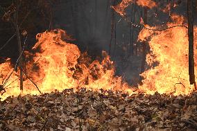 Firefighters Battle Wildfire In Greenwood Lake New York Following Death Of New York State Parks Employee Fighting Fire