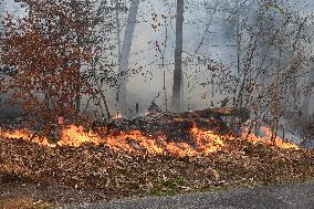 Firefighters Battle Wildfire In Greenwood Lake New York Following Death Of New York State Parks Employee Fighting Fire