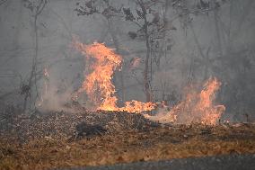 Firefighters Battle Wildfire In Greenwood Lake New York Following Death Of New York State Parks Employee Fighting Fire