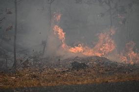 Firefighters Battle Wildfire In Greenwood Lake New York Following Death Of New York State Parks Employee Fighting Fire