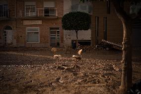 FLOOD IN VALENCIA