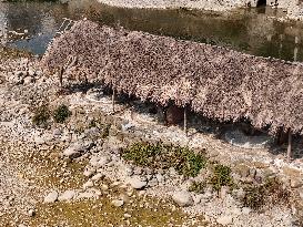 water-powered Roller Group