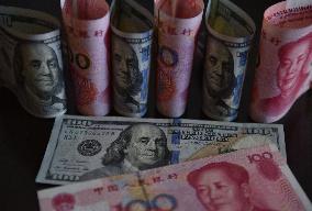 Usd RMB Exchange Rate