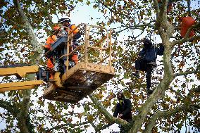 Toulouse: 'Ecureuils' Try To Slown Down The LGV Project On He Canal Du Lidi