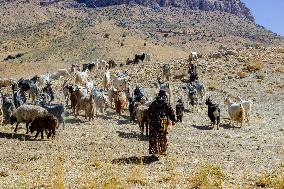 Nomadic People - Iran