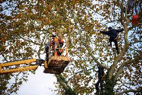 Toulouse: 'Ecureuils' Try To Slown Down The LGV Project On He Canal Du Lidi