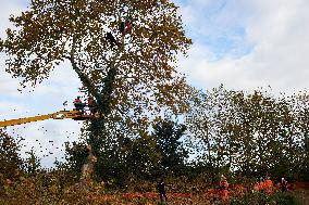 Toulouse: 'Ecureuils' Try To Slown Down The LGV Project On He Canal Du Lidi