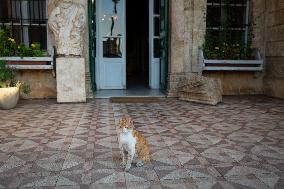 Palmyra Hotel - Baalbek