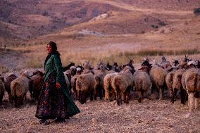 Nomadic People - Iran