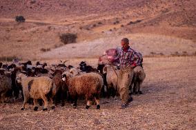 Nomadic People - Iran