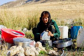 Nomadic People - Iran