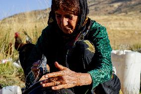 Nomadic People - Iran