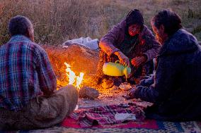 Nomadic People - Iran