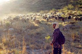 Nomadic People - Iran