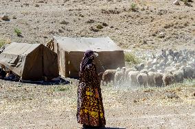 Nomadic People - Iran