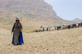 Nomadic People - Iran