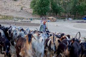 Nomadic People - Iran