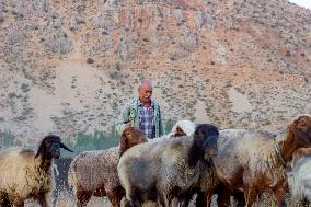 Nomadic People - Iran