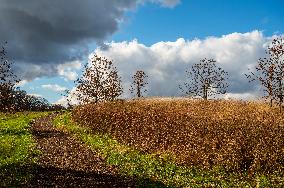 Morton Arboretum East Side