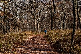 Morton Arboretum East Side