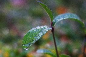 Rainy Evening In Toronto, Canada