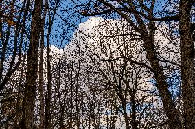 Morton Arboretum East Side