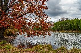 Morton Arboretum West Side