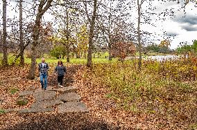 Morton Arboretum West Side