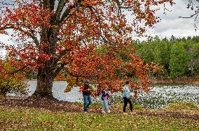 Morton Arboretum West Side