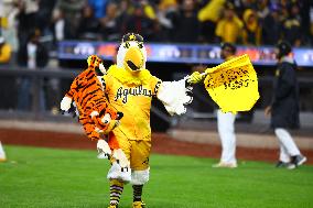 Titans Of The Caribbean At Citi Field