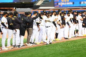 Titans Of The Caribbean At Citi Field