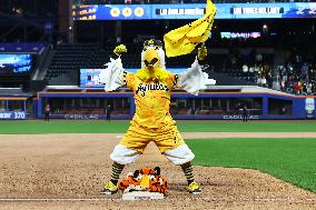 Titans Of The Caribbean At Citi Field