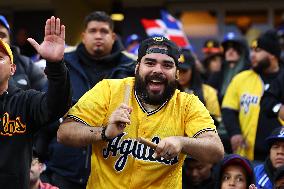 Titans Of The Caribbean At Citi Field