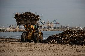 Floods Cleanup Efforts Continue - Spain