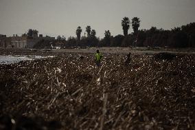 Floods Cleanup Efforts Continue - Spain