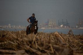 Floods Cleanup Efforts Continue - Spain