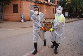 Floods Cleanup Efforts Continue - Spain