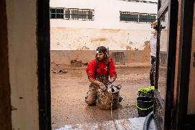 Floods Cleanup Efforts Continue - Spain