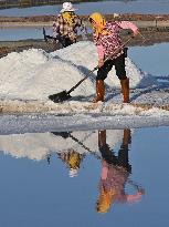 Shanyao Salt Field - China