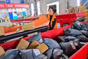 Double 11 Shopping Logistics Peak in Qingzhou