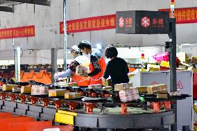 Double 11 Shopping Logistics Peak in Qingzhou