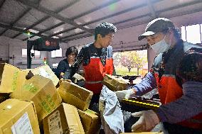 Double 11 Shopping Logistics Peak in Qingzhou