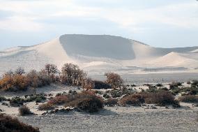 Desert Primitive Ecology in Hami