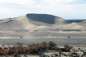 Desert Primitive Ecology in Hami