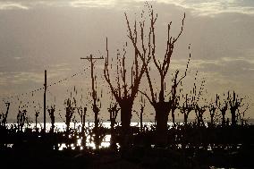 Villa Epecuén, Flooded Town In Buenos Aires