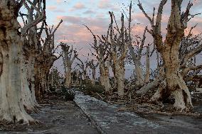 Villa Epecuén, Flooded Town In Buenos Aires